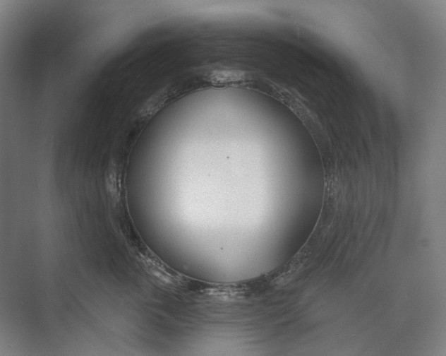 X0000073990763200609181742