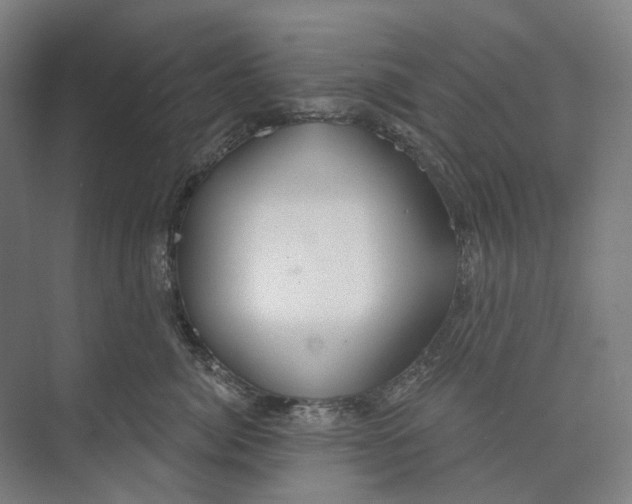 X0000073990764200609181742