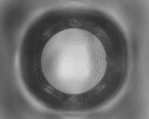 X0000073990765200609181742