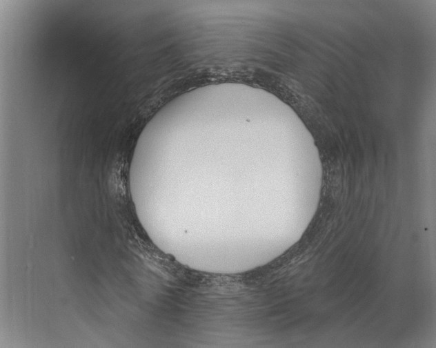 X0000073990770200609181741