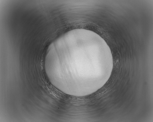 X0000073990772200609181741