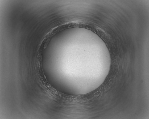 X0000073990776200609181741