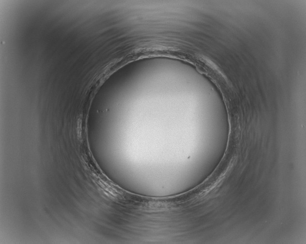 X0000073990777200609181741