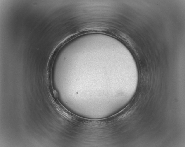 X0000073990779200609181741