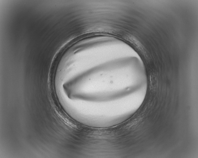 X0000073990780200609181741