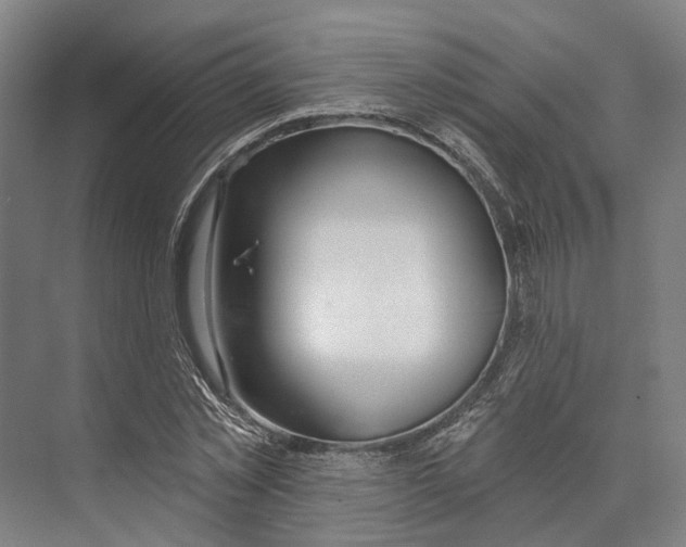 X0000073990781200609181741