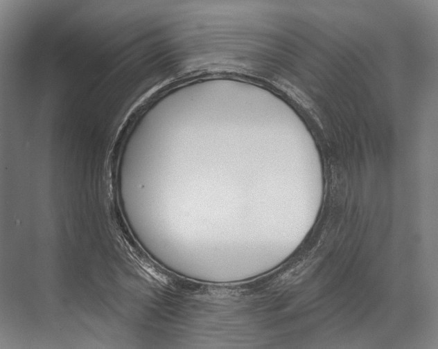 X0000073990782200609181741