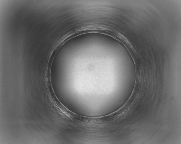 X0000073990786200609181741