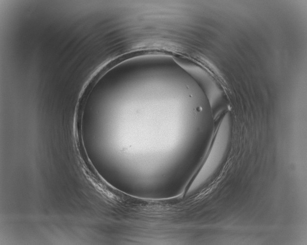 X0000073990788200609181741