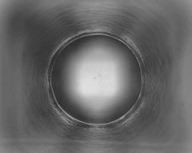 X0000073990789200609181741