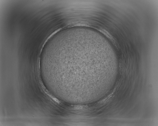 X0000073990790200609181741