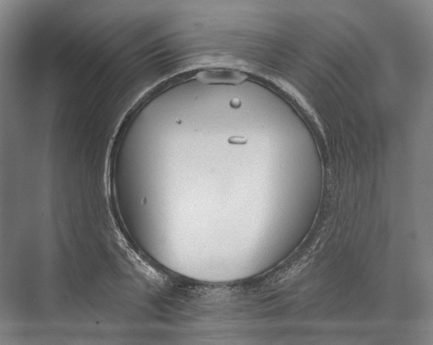 X0000073990791200609181741