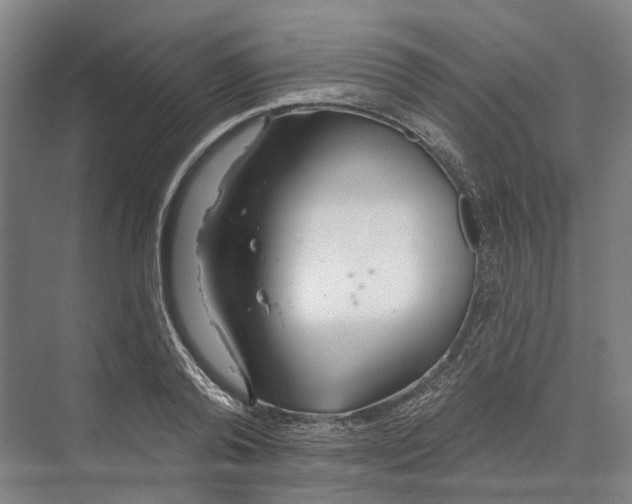 X0000073990792200609181741