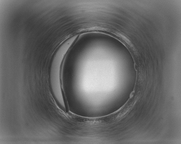 X0000073990793200609181741