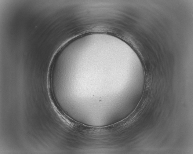 X0000073990795200609181741