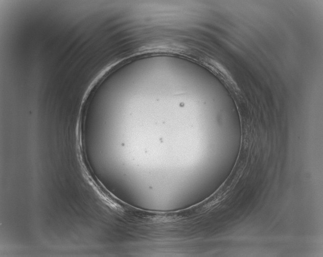 X0000073990796200609181741