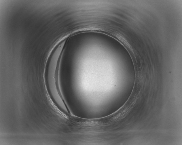 X0000073990797200609181741