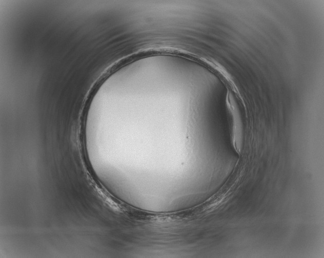 X0000073990799200609181741