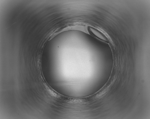 X0000073990801200609181741