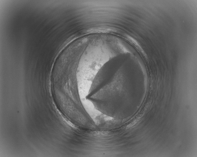 X0000073990802200609181741