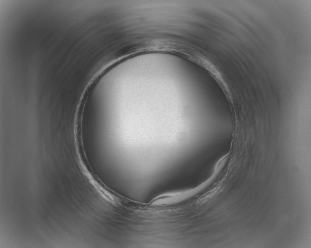 X0000073990803200609181741