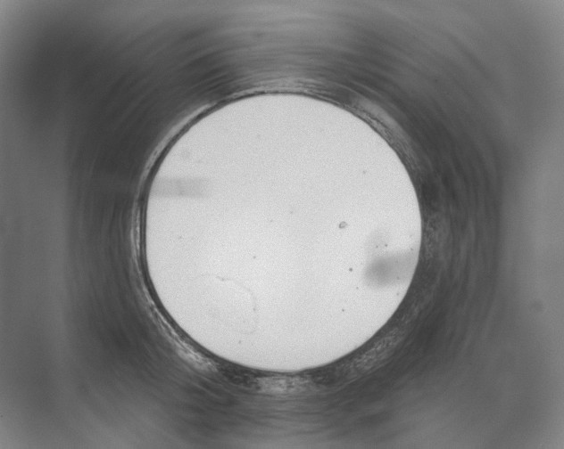 X0000073990804200609181741