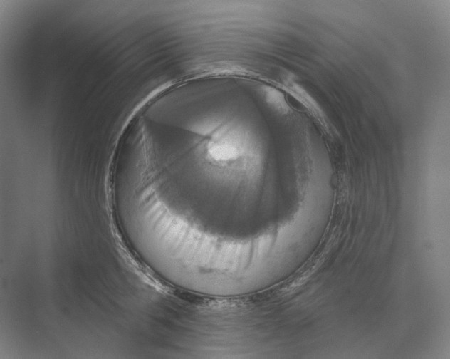 X0000073990806200609181741