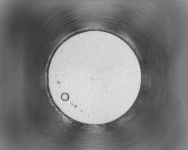 X0000073990807200609181741