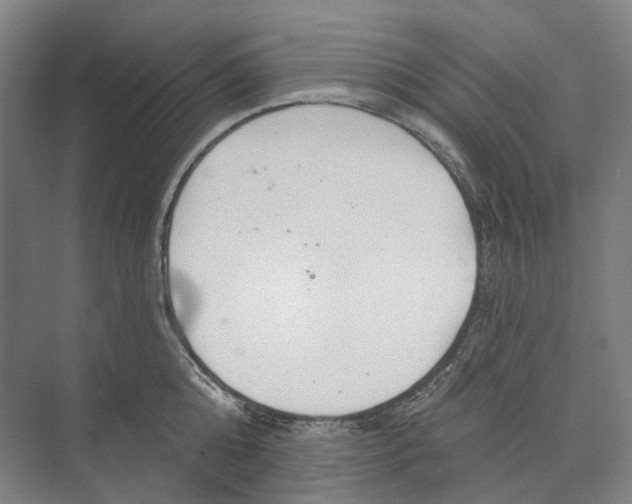 X0000073990808200609181741