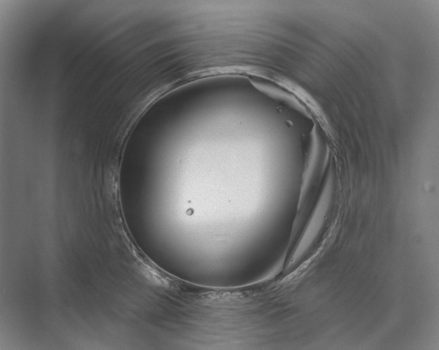 X0000073990809200609181741