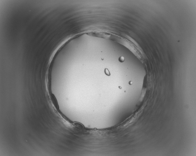 X0000073990812200609181741