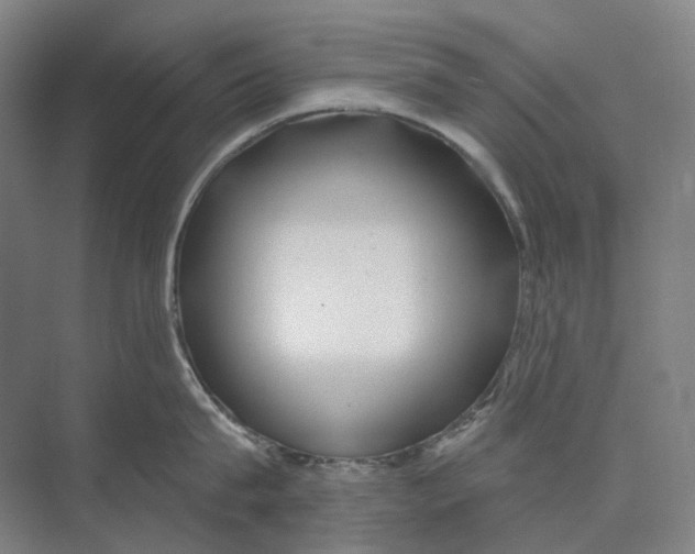 X0000073990815200609181741