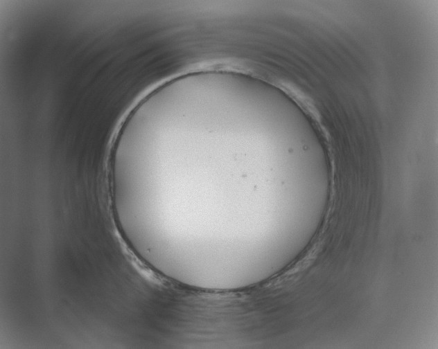 X0000073990816200609181741