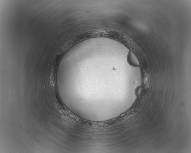 X0000073990819200609181740