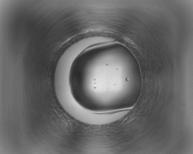 X0000073990822200609181740