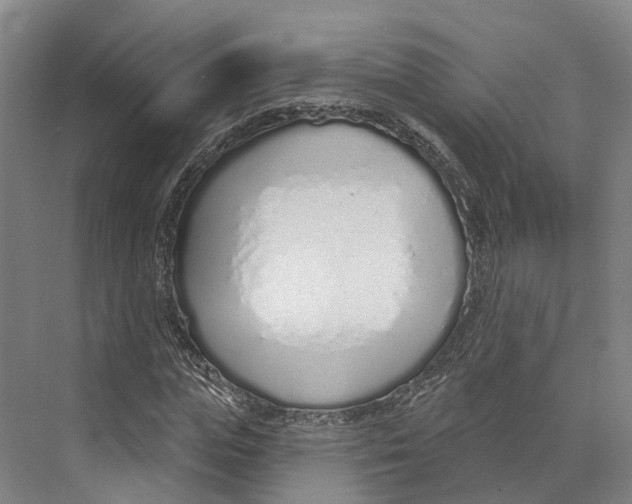 X0000073990823200609181740