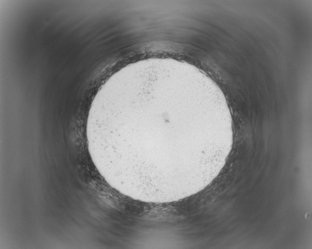 X0000073990824200609181740