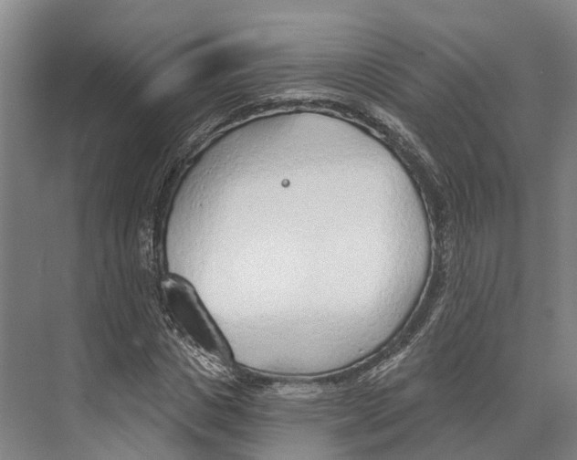 X0000073990825200609181740