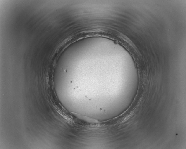 X0000073990826200609181740