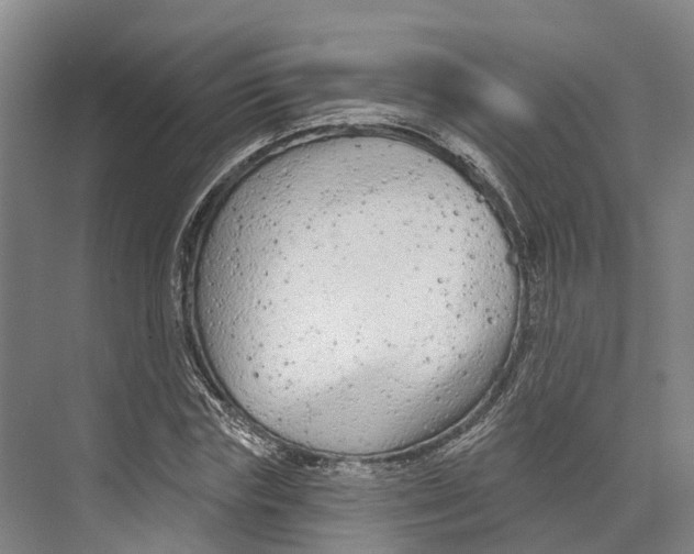 X0000073990827200609181740