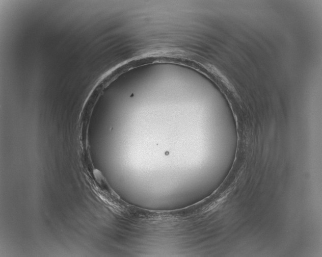 X0000073990830200609181740