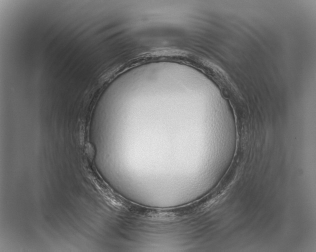 X0000073990833200609181740