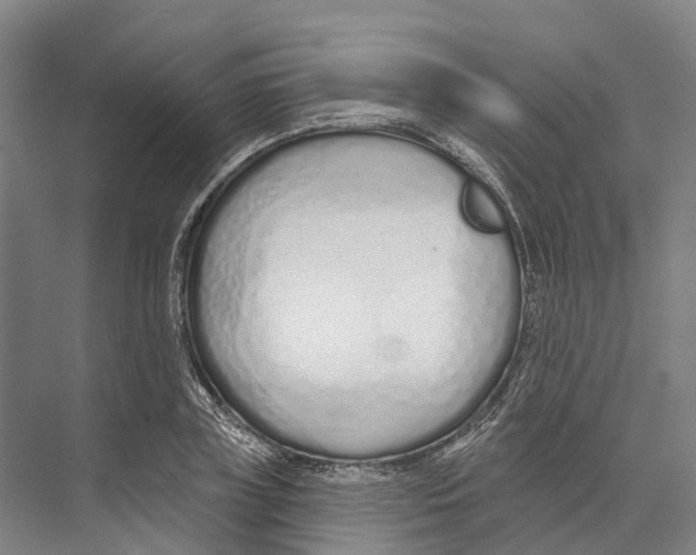 X0000073990835200609181740