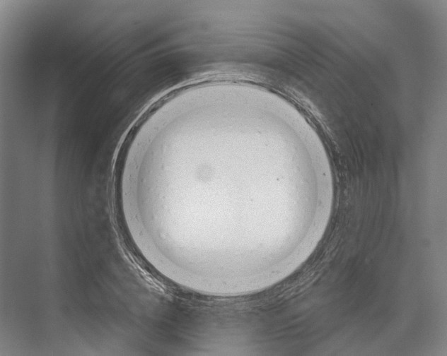 X0000073990836200609181740