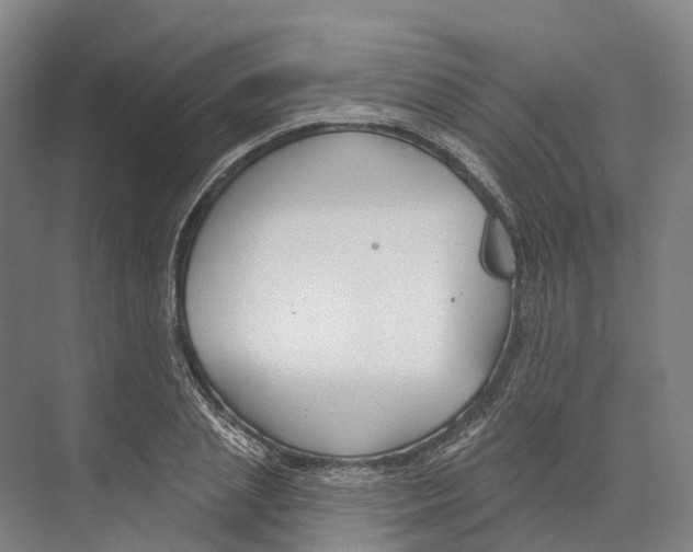 X0000073990837200609181740