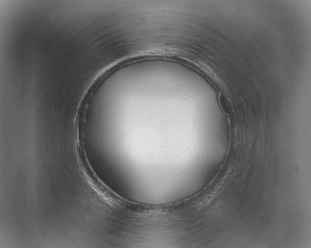 X0000073990838200609181740