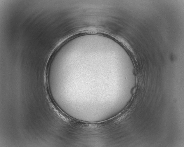 X0000073990839200609181740