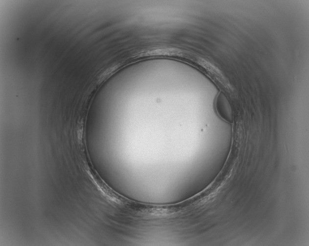 X0000073990841200609181740