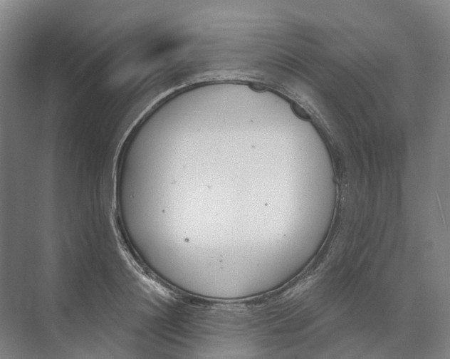 X0000073990844200609181740