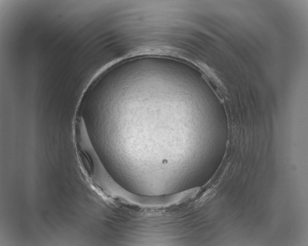 X0000073990846200609181740